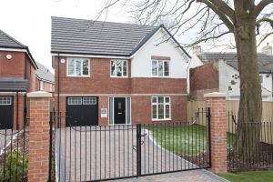 chestnut shadwell plot 1 sm.jpg